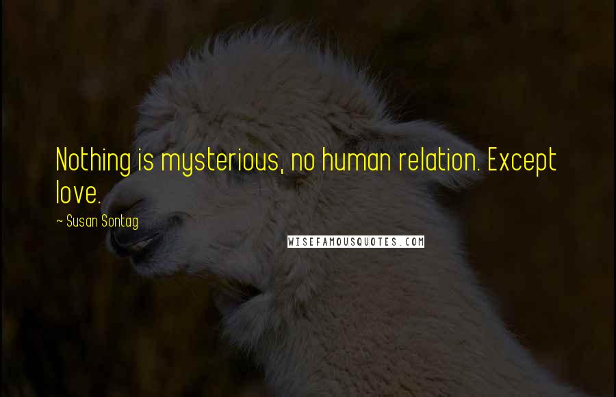 Susan Sontag Quotes: Nothing is mysterious, no human relation. Except love.