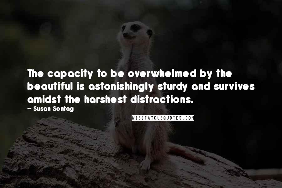 Susan Sontag Quotes: The capacity to be overwhelmed by the beautiful is astonishingly sturdy and survives amidst the harshest distractions.