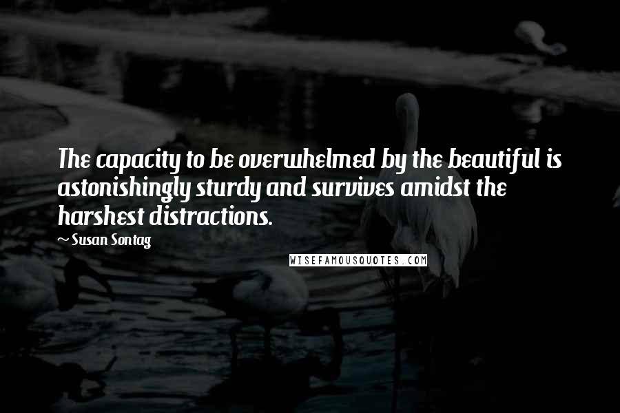 Susan Sontag Quotes: The capacity to be overwhelmed by the beautiful is astonishingly sturdy and survives amidst the harshest distractions.