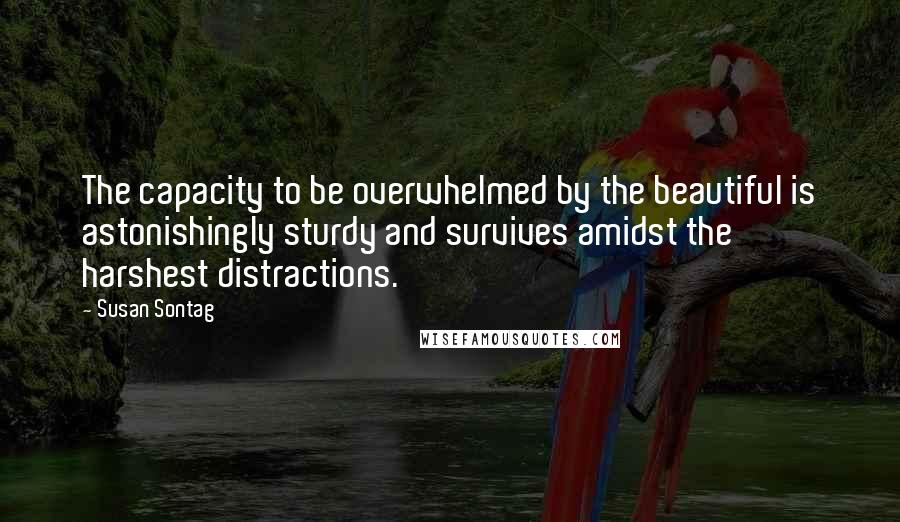 Susan Sontag Quotes: The capacity to be overwhelmed by the beautiful is astonishingly sturdy and survives amidst the harshest distractions.