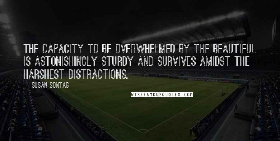 Susan Sontag Quotes: The capacity to be overwhelmed by the beautiful is astonishingly sturdy and survives amidst the harshest distractions.