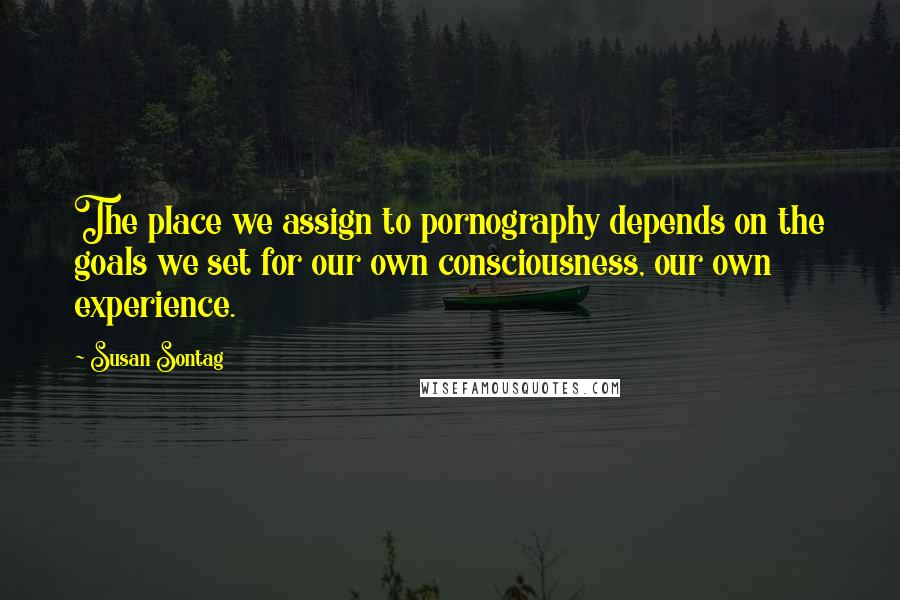 Susan Sontag Quotes: The place we assign to pornography depends on the goals we set for our own consciousness, our own experience.