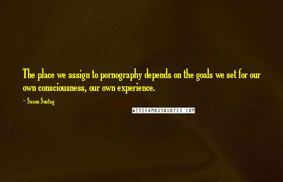 Susan Sontag Quotes: The place we assign to pornography depends on the goals we set for our own consciousness, our own experience.