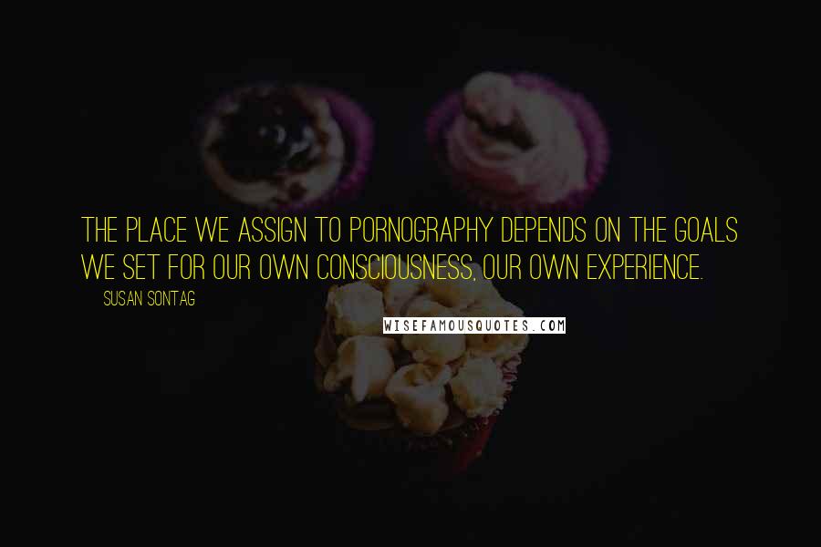 Susan Sontag Quotes: The place we assign to pornography depends on the goals we set for our own consciousness, our own experience.