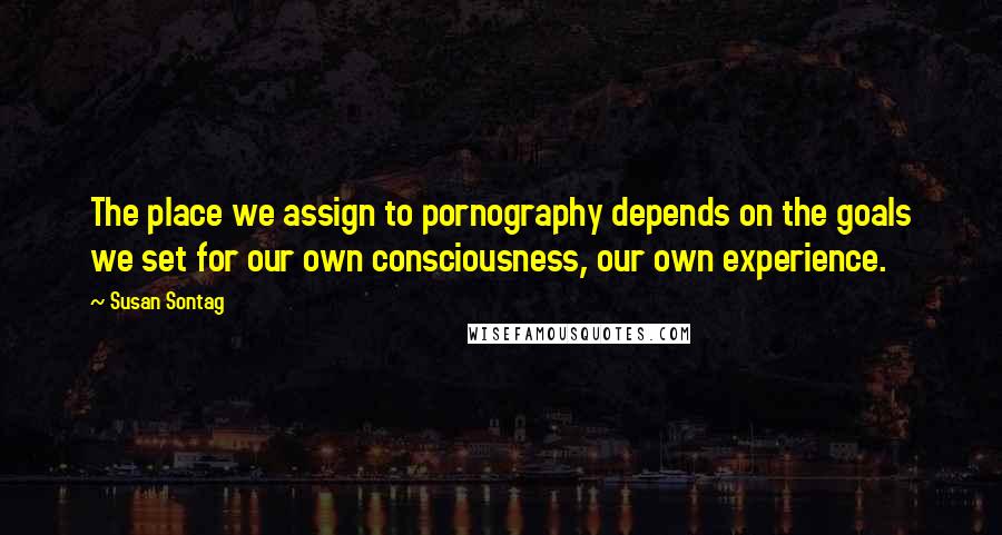 Susan Sontag Quotes: The place we assign to pornography depends on the goals we set for our own consciousness, our own experience.