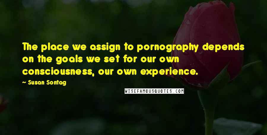 Susan Sontag Quotes: The place we assign to pornography depends on the goals we set for our own consciousness, our own experience.