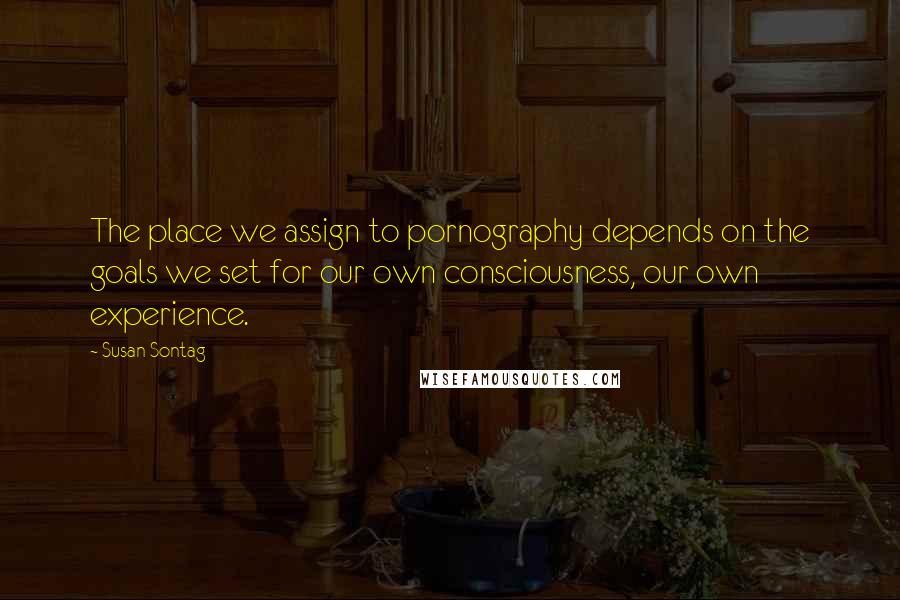 Susan Sontag Quotes: The place we assign to pornography depends on the goals we set for our own consciousness, our own experience.