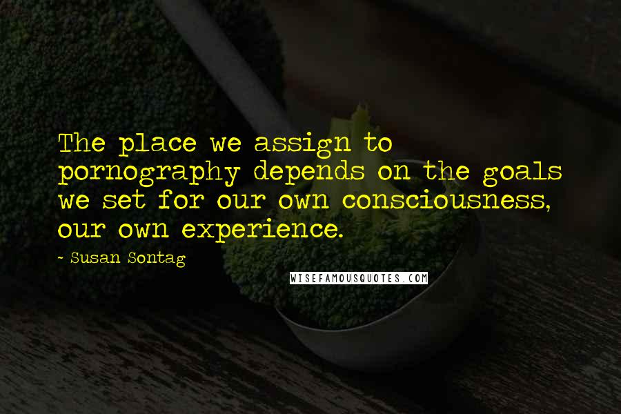 Susan Sontag Quotes: The place we assign to pornography depends on the goals we set for our own consciousness, our own experience.