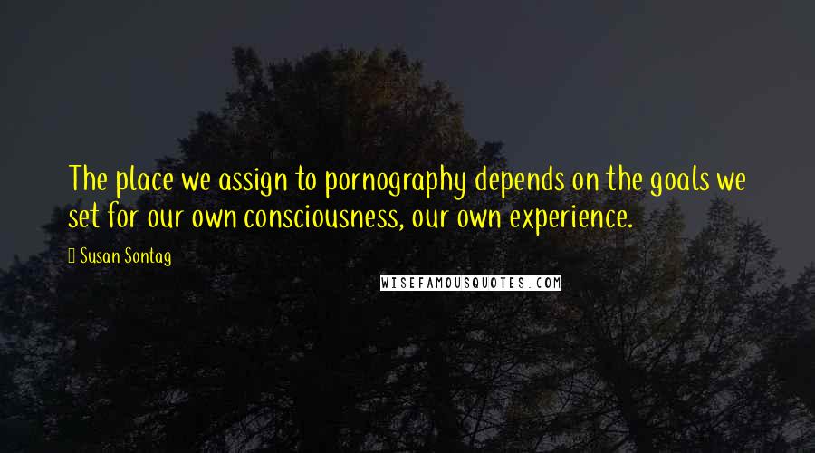 Susan Sontag Quotes: The place we assign to pornography depends on the goals we set for our own consciousness, our own experience.