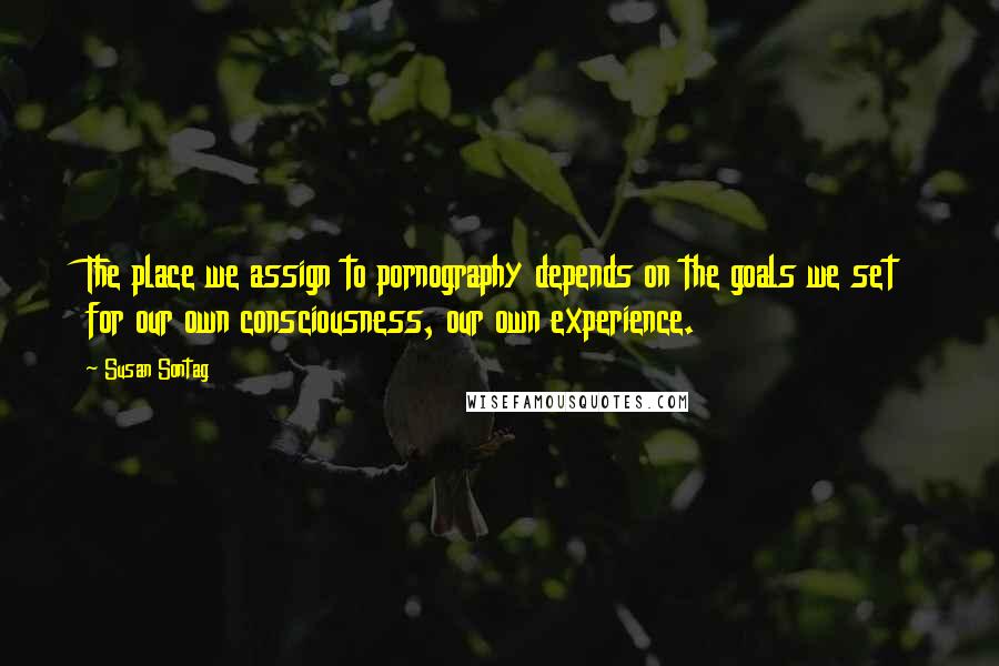 Susan Sontag Quotes: The place we assign to pornography depends on the goals we set for our own consciousness, our own experience.