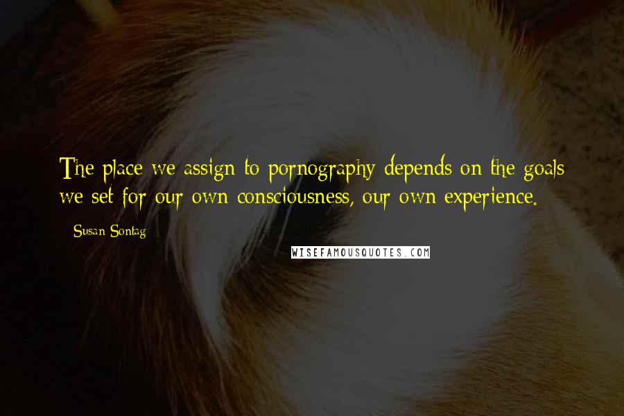 Susan Sontag Quotes: The place we assign to pornography depends on the goals we set for our own consciousness, our own experience.
