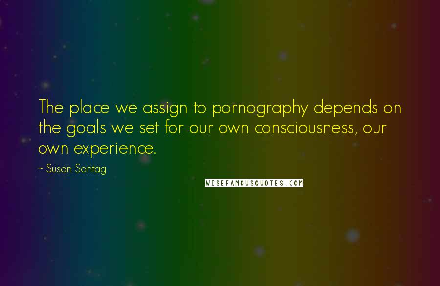 Susan Sontag Quotes: The place we assign to pornography depends on the goals we set for our own consciousness, our own experience.