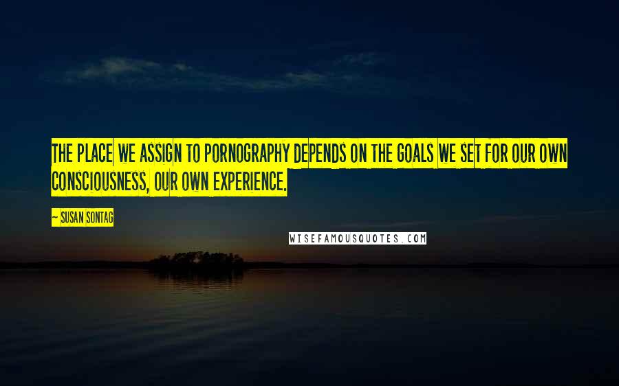 Susan Sontag Quotes: The place we assign to pornography depends on the goals we set for our own consciousness, our own experience.
