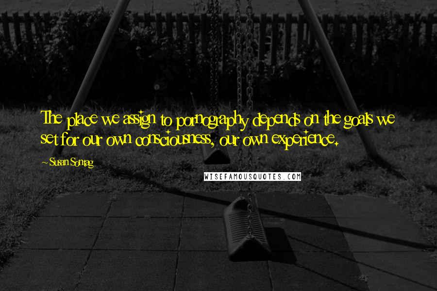 Susan Sontag Quotes: The place we assign to pornography depends on the goals we set for our own consciousness, our own experience.