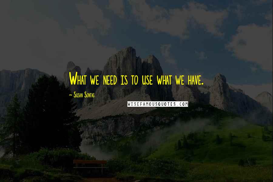 Susan Sontag Quotes: What we need is to use what we have.