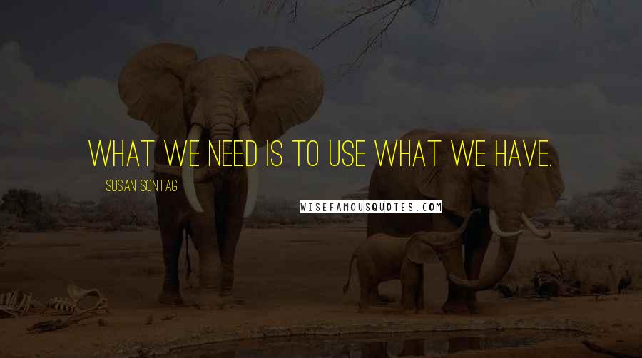 Susan Sontag Quotes: What we need is to use what we have.