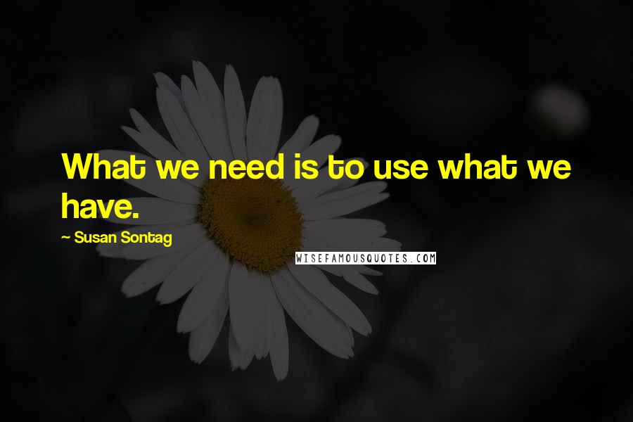 Susan Sontag Quotes: What we need is to use what we have.