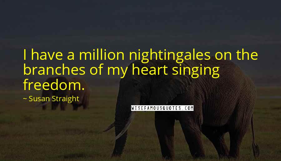 Susan Straight Quotes: I have a million nightingales on the branches of my heart singing freedom.