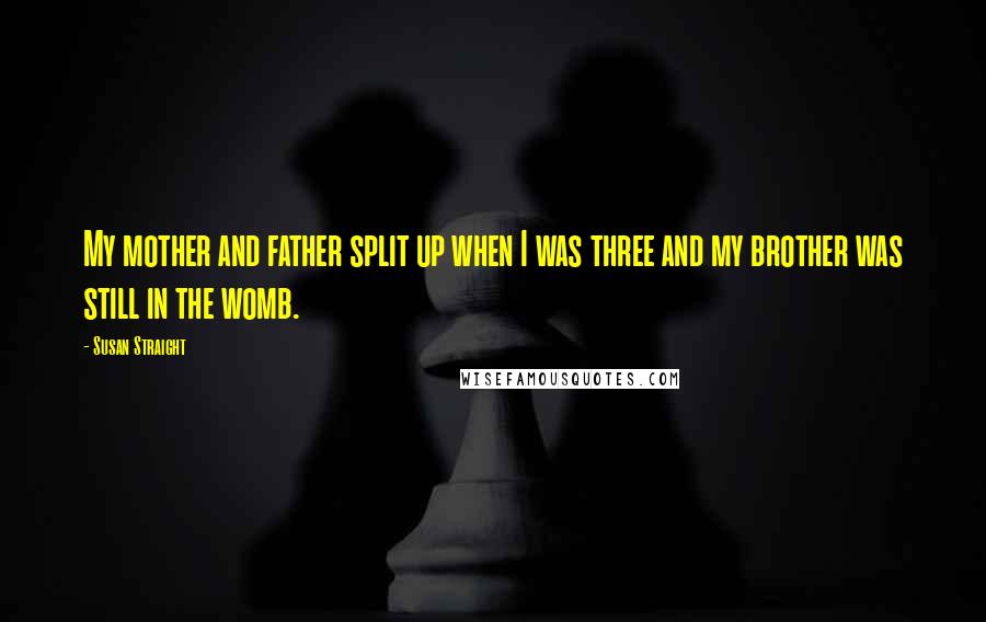 Susan Straight Quotes: My mother and father split up when I was three and my brother was still in the womb.