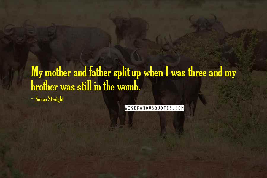 Susan Straight Quotes: My mother and father split up when I was three and my brother was still in the womb.