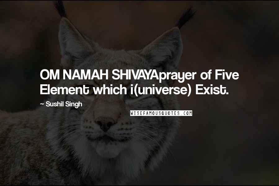 Sushil Singh Quotes: OM NAMAH SHIVAYAprayer of Five Element which i(universe) Exist.