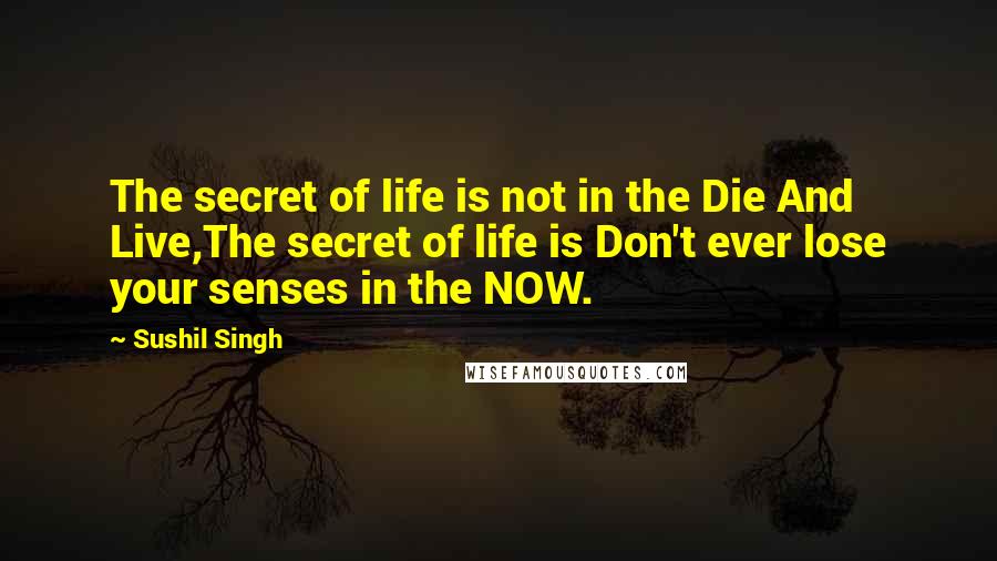 Sushil Singh Quotes: The secret of life is not in the Die And Live,The secret of life is Don't ever lose your senses in the NOW.