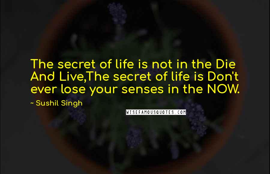 Sushil Singh Quotes: The secret of life is not in the Die And Live,The secret of life is Don't ever lose your senses in the NOW.