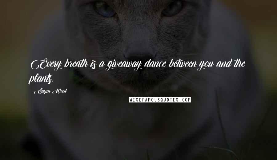 Susun Weed Quotes: Every breath is a giveaway dance between you and the plants.