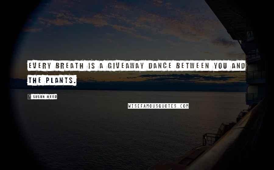 Susun Weed Quotes: Every breath is a giveaway dance between you and the plants.