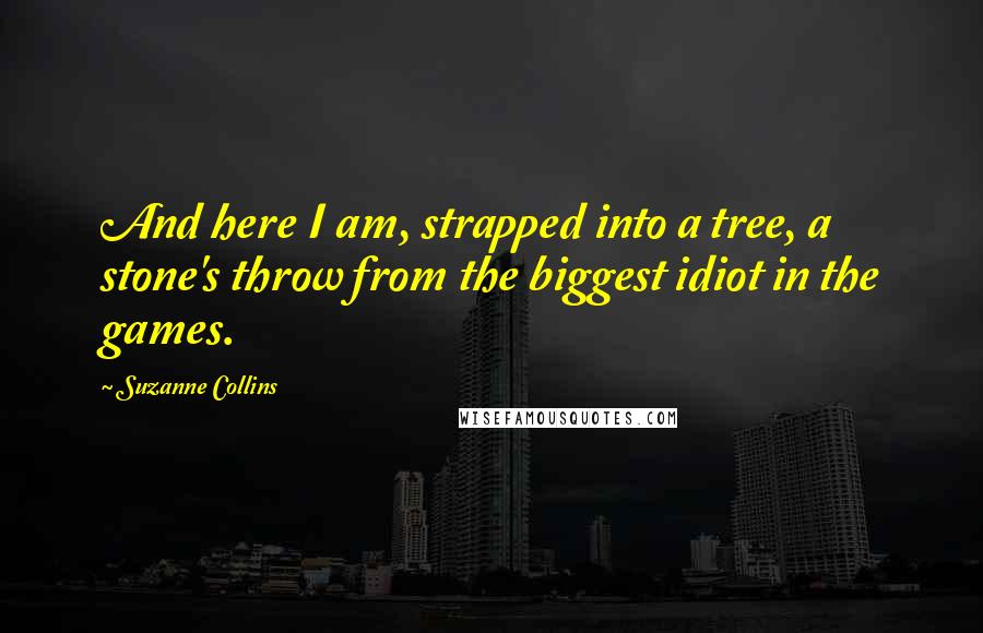 Suzanne Collins Quotes: And here I am, strapped into a tree, a stone's throw from the biggest idiot in the games.