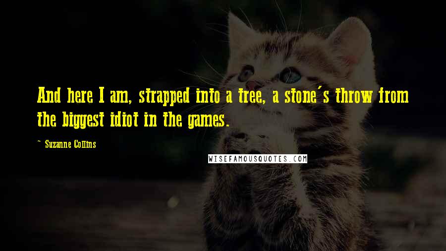 Suzanne Collins Quotes: And here I am, strapped into a tree, a stone's throw from the biggest idiot in the games.