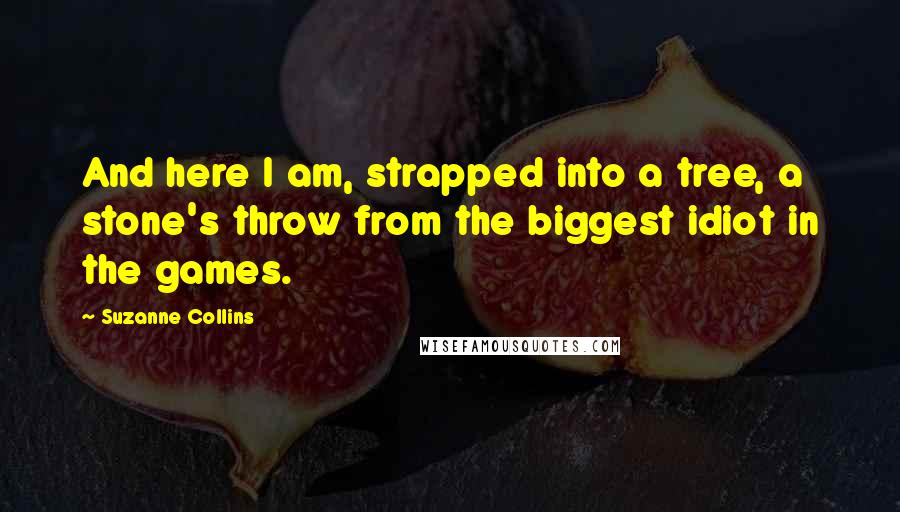 Suzanne Collins Quotes: And here I am, strapped into a tree, a stone's throw from the biggest idiot in the games.