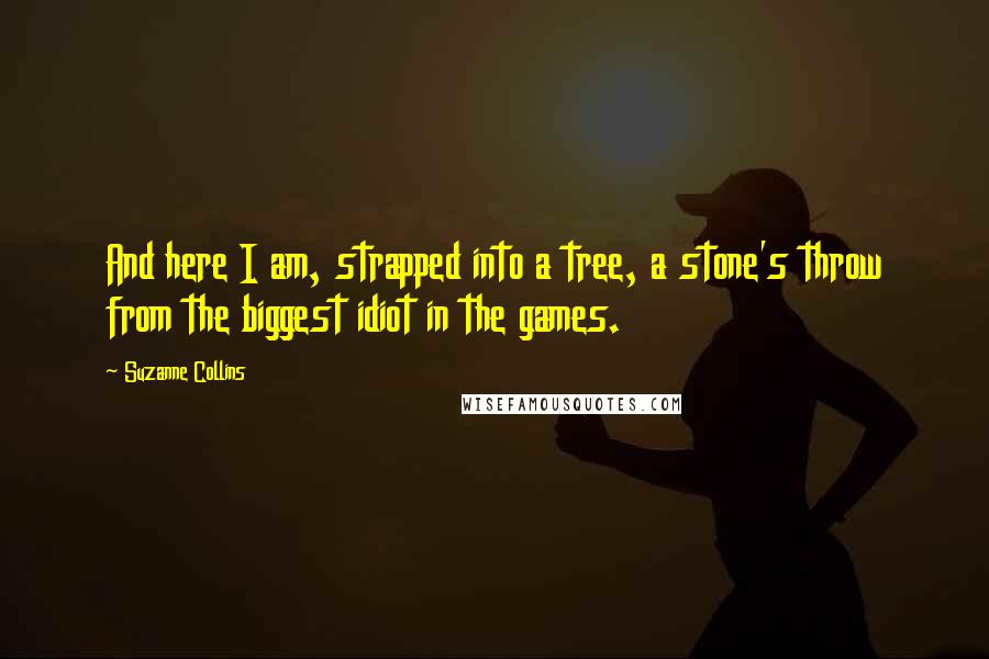 Suzanne Collins Quotes: And here I am, strapped into a tree, a stone's throw from the biggest idiot in the games.