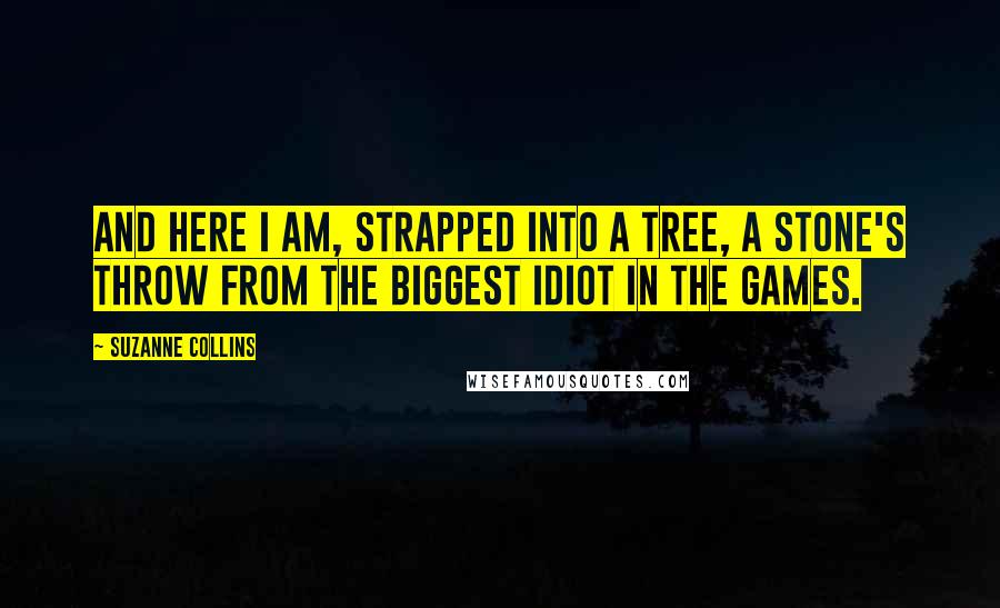 Suzanne Collins Quotes: And here I am, strapped into a tree, a stone's throw from the biggest idiot in the games.