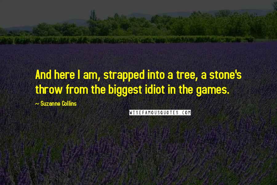 Suzanne Collins Quotes: And here I am, strapped into a tree, a stone's throw from the biggest idiot in the games.