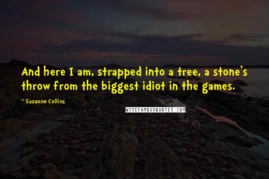 Suzanne Collins Quotes: And here I am, strapped into a tree, a stone's throw from the biggest idiot in the games.