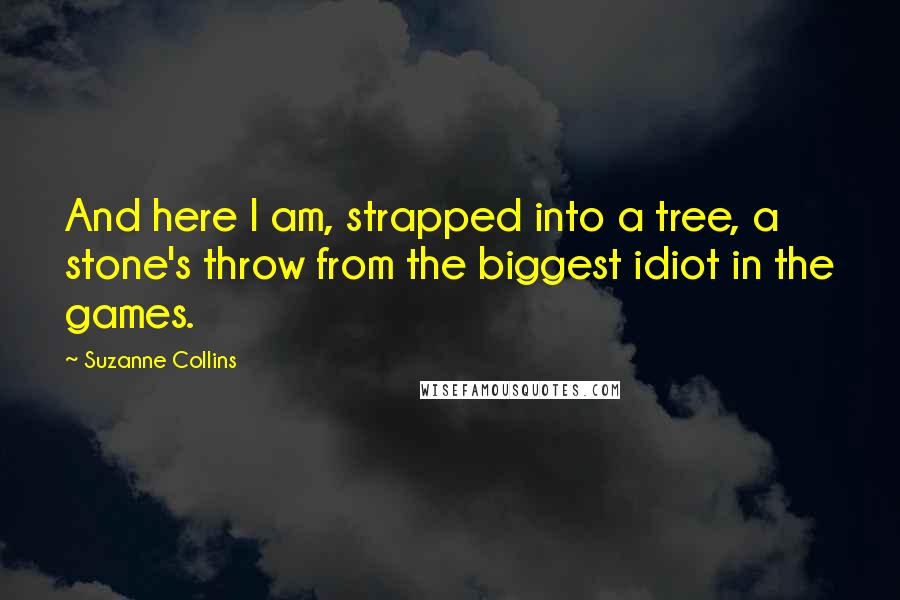 Suzanne Collins Quotes: And here I am, strapped into a tree, a stone's throw from the biggest idiot in the games.