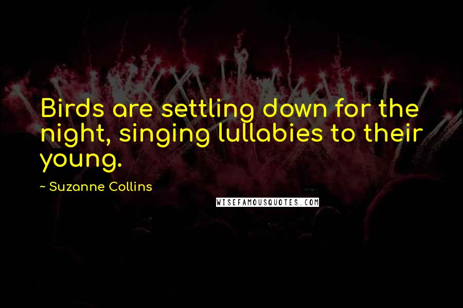 Suzanne Collins Quotes: Birds are settling down for the night, singing lullabies to their young.