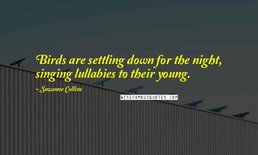 Suzanne Collins Quotes: Birds are settling down for the night, singing lullabies to their young.