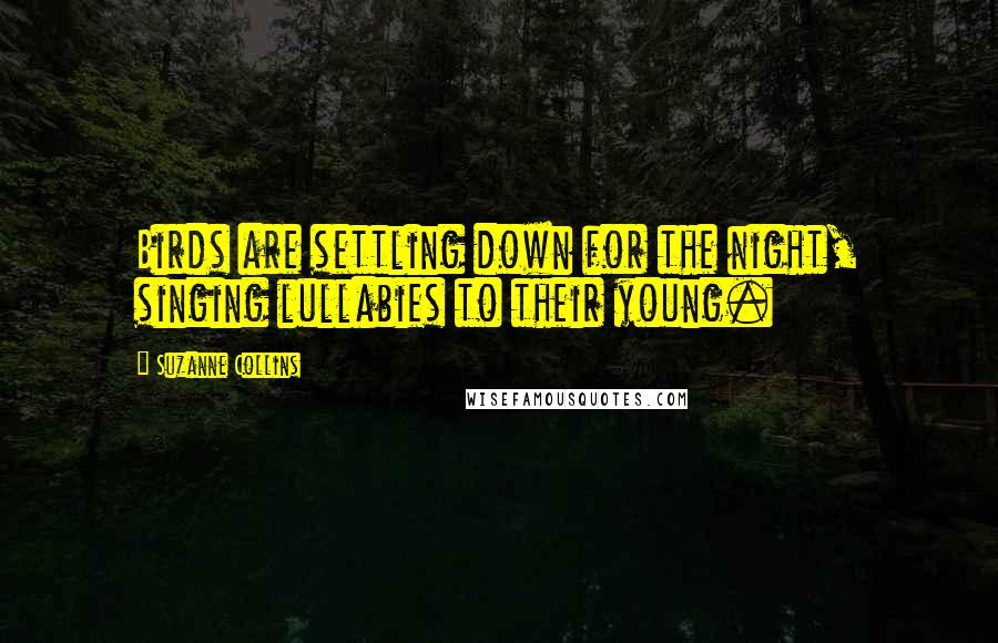 Suzanne Collins Quotes: Birds are settling down for the night, singing lullabies to their young.