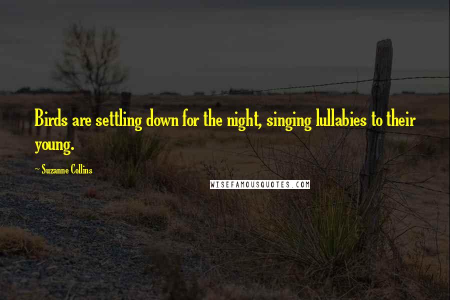 Suzanne Collins Quotes: Birds are settling down for the night, singing lullabies to their young.