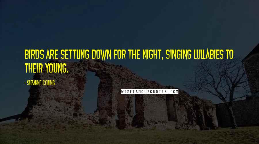 Suzanne Collins Quotes: Birds are settling down for the night, singing lullabies to their young.