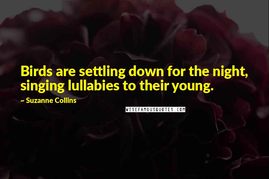 Suzanne Collins Quotes: Birds are settling down for the night, singing lullabies to their young.