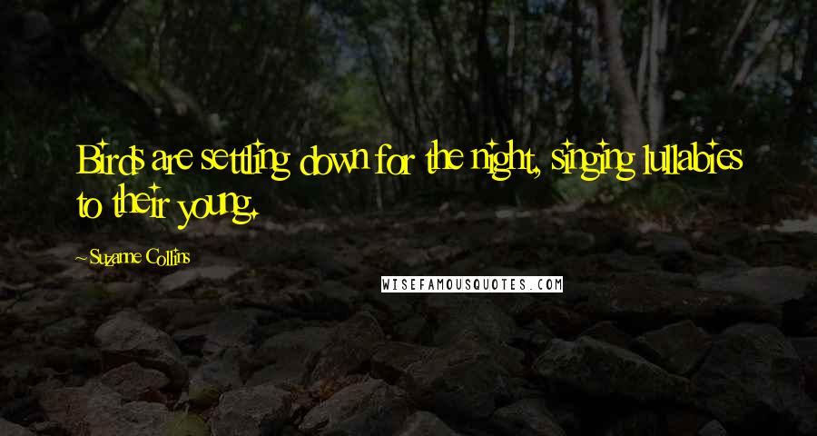 Suzanne Collins Quotes: Birds are settling down for the night, singing lullabies to their young.