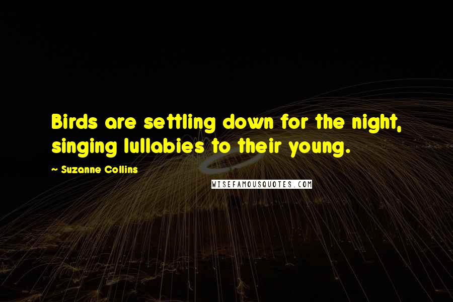 Suzanne Collins Quotes: Birds are settling down for the night, singing lullabies to their young.