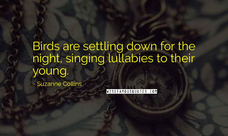 Suzanne Collins Quotes: Birds are settling down for the night, singing lullabies to their young.