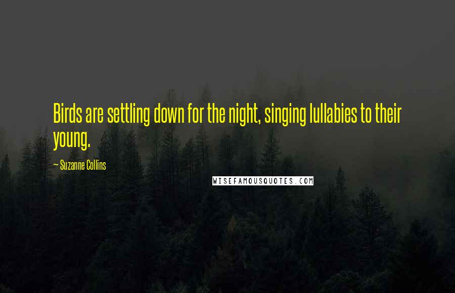 Suzanne Collins Quotes: Birds are settling down for the night, singing lullabies to their young.