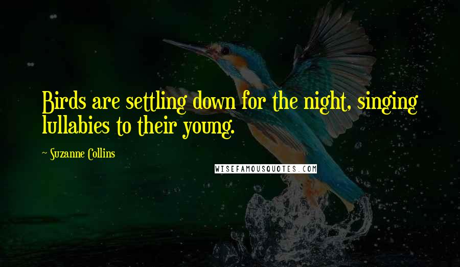 Suzanne Collins Quotes: Birds are settling down for the night, singing lullabies to their young.