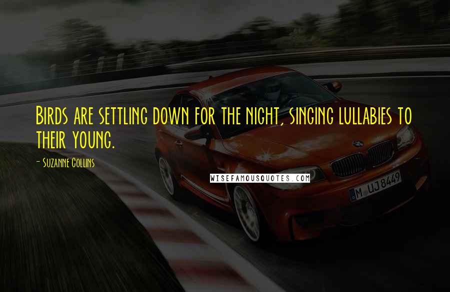 Suzanne Collins Quotes: Birds are settling down for the night, singing lullabies to their young.