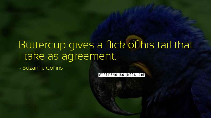 Suzanne Collins Quotes: Buttercup gives a flick of his tail that I take as agreement.